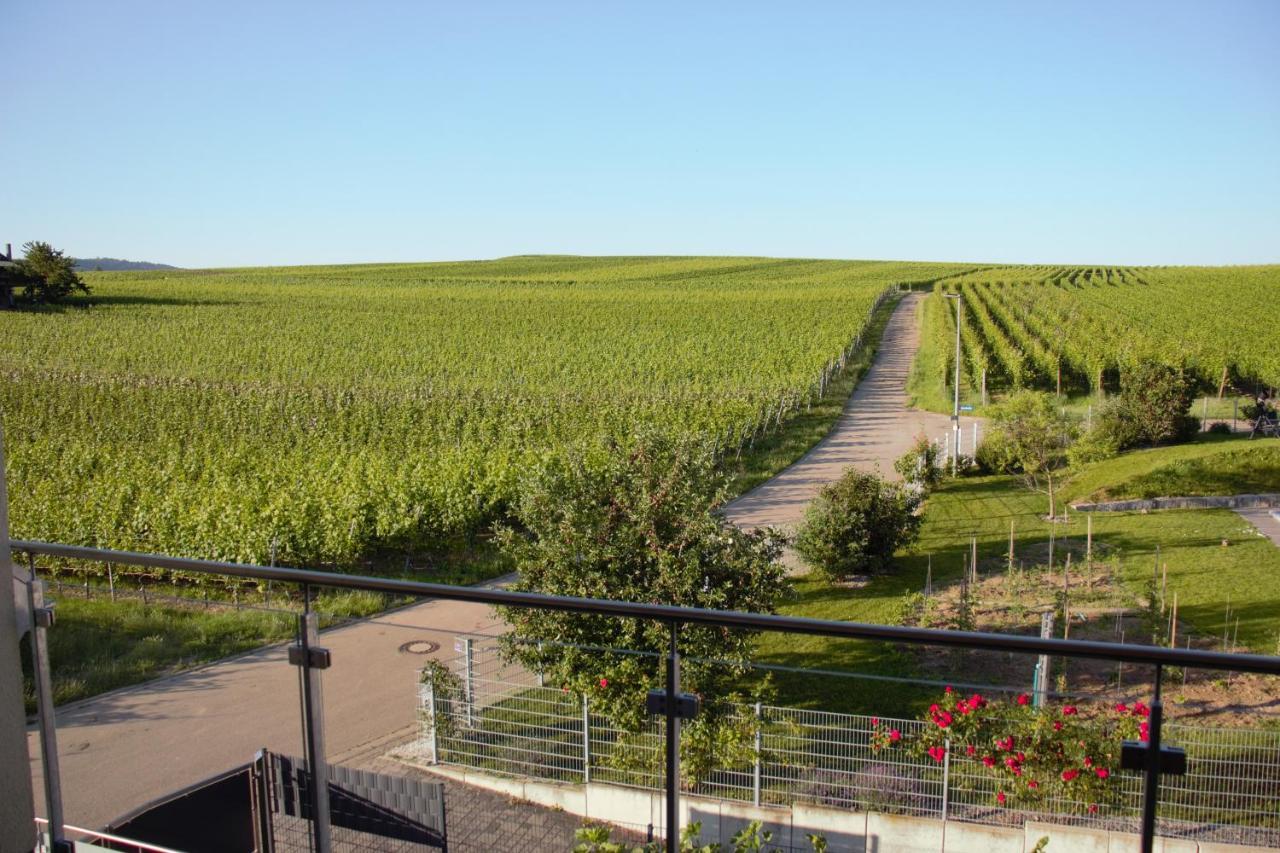 Gaestehaus Casa Luna - Paradiesische Ferienwohnungen Am Kaiserstuhl! Bischoffingen 외부 사진
