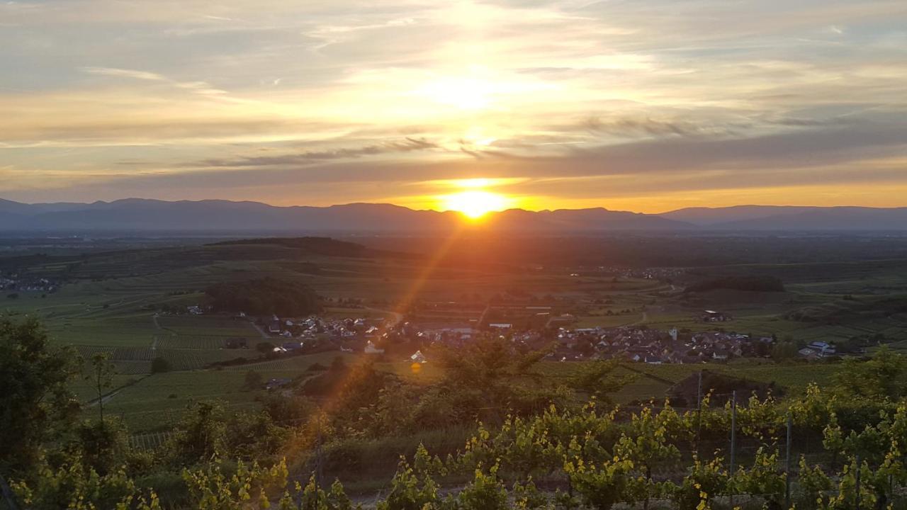 Gaestehaus Casa Luna - Paradiesische Ferienwohnungen Am Kaiserstuhl! Bischoffingen 외부 사진