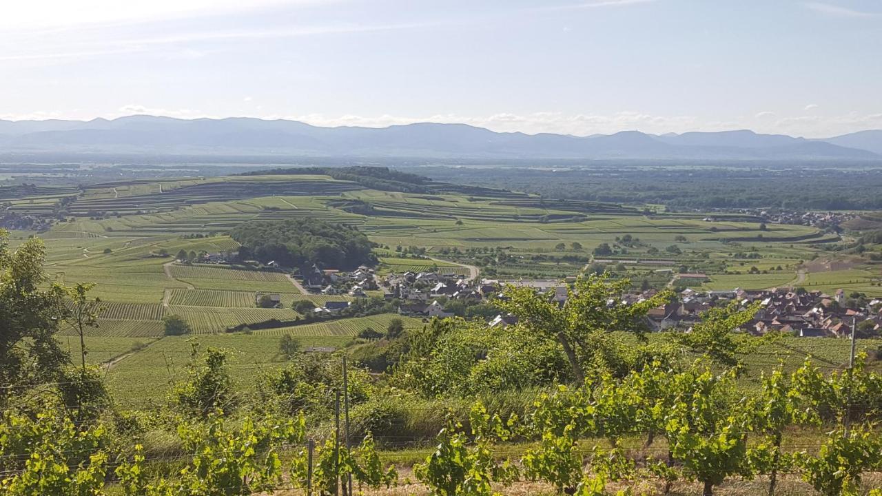 Gaestehaus Casa Luna - Paradiesische Ferienwohnungen Am Kaiserstuhl! Bischoffingen 외부 사진