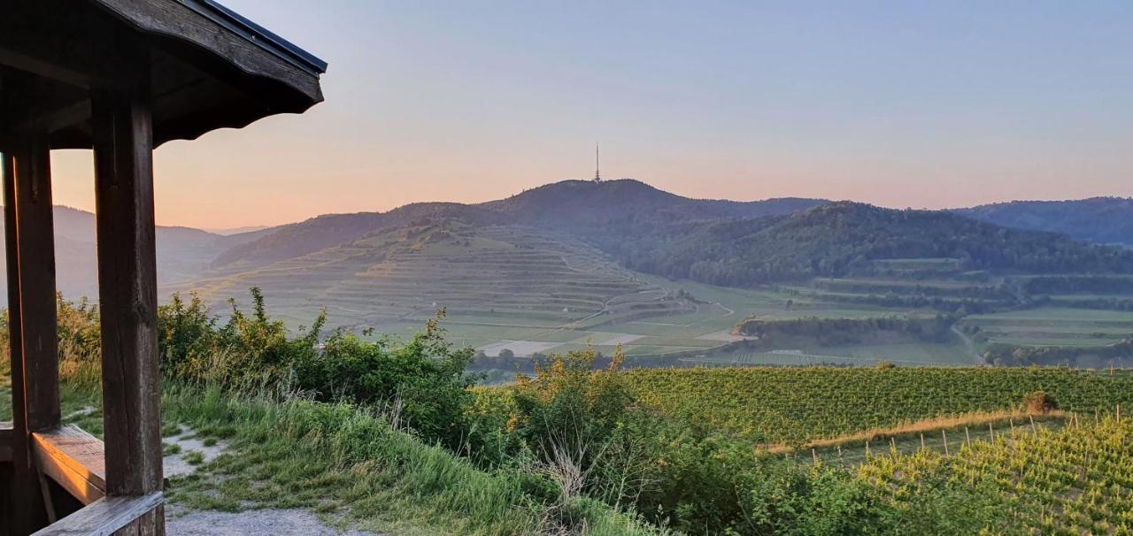 Gaestehaus Casa Luna - Paradiesische Ferienwohnungen Am Kaiserstuhl! Bischoffingen 외부 사진
