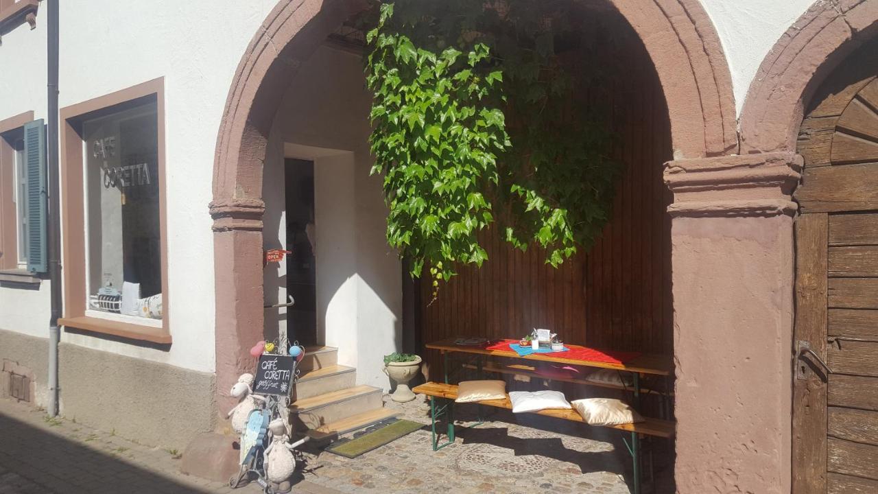 Gaestehaus Casa Luna - Paradiesische Ferienwohnungen Am Kaiserstuhl! Bischoffingen 외부 사진
